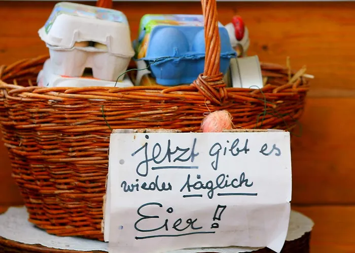 Apartament Edith Fulpmes